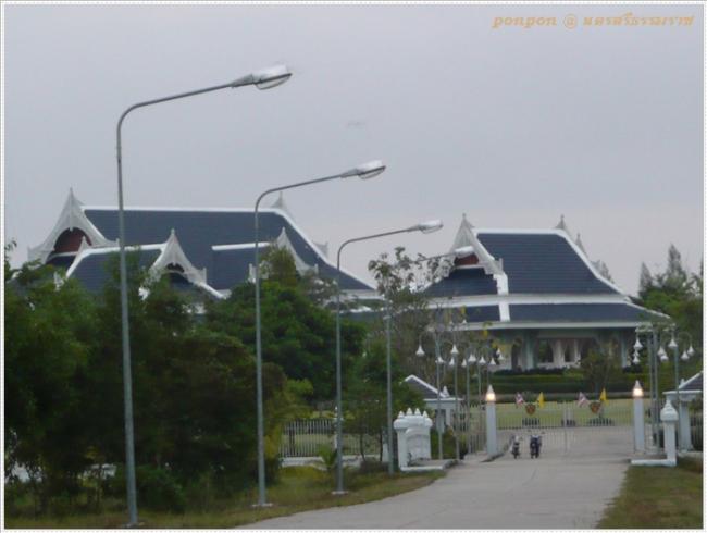 NST137.JPG